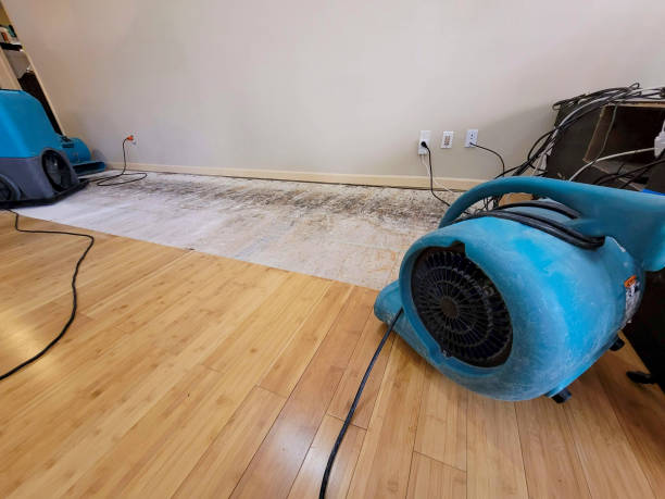 Professional Water Damage Repair technician working in Stantonsburg, NC